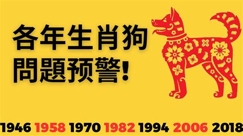 2023屬狗運勢|2023年属狗人的流年运势、每月运势详解